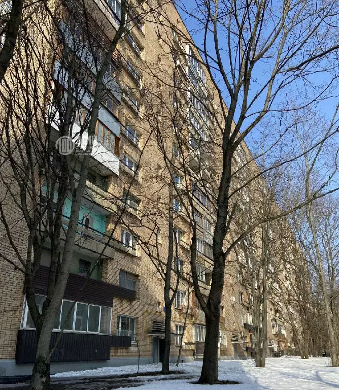 Продается 1-комнатная квартира - Фото 1