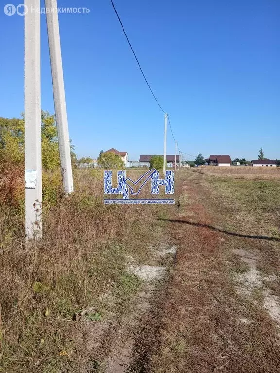 Участок в Курский район, Клюквинский сельсовет, село Клюква (52 м) - Фото 1