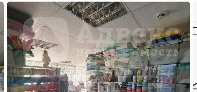 Офис в Тюменская область, Тюмень ул. Газовиков, 2 (76 м) - Фото 1