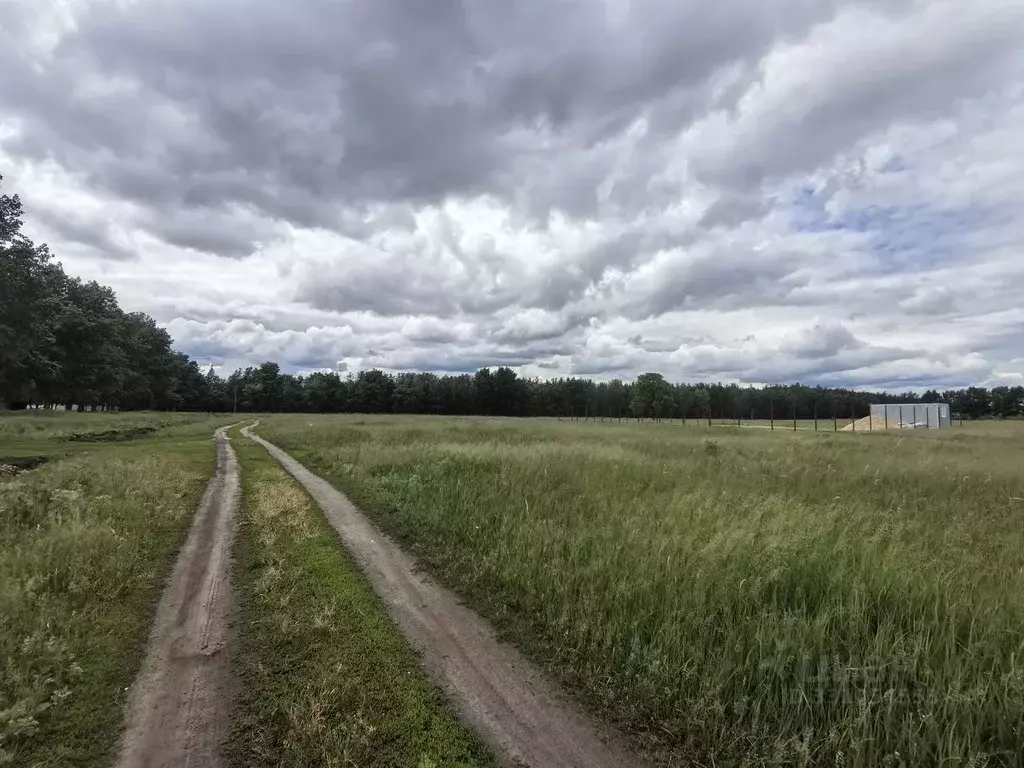 Участок в Воронежская область, Воронеж проезд 2-й Никольский (6.0 ... - Фото 1