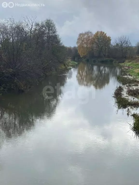 Участок в Владимирская область, Киржачский муниципальный округ, хутор ... - Фото 2
