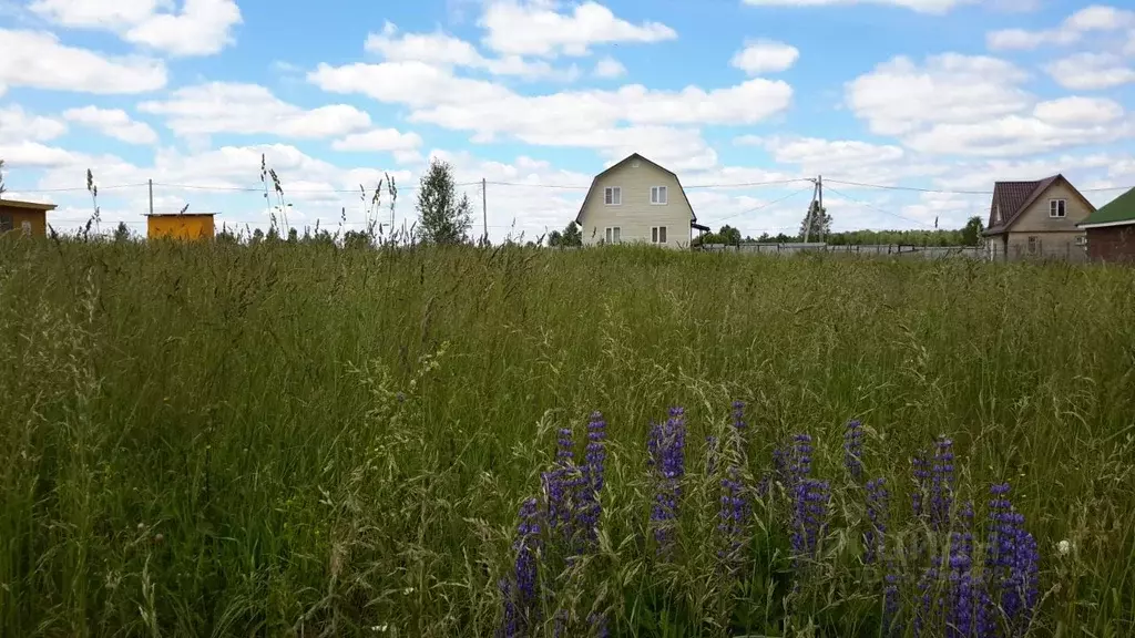 Участок в Владимирская область, Петушинский район, д. Жары  (10.0 ... - Фото 1