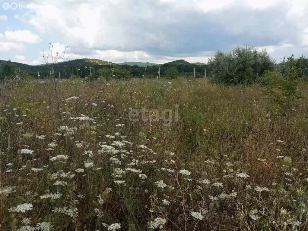 Участок в Краснодарский край, городской округ Новороссийск, хутор ... - Фото 0