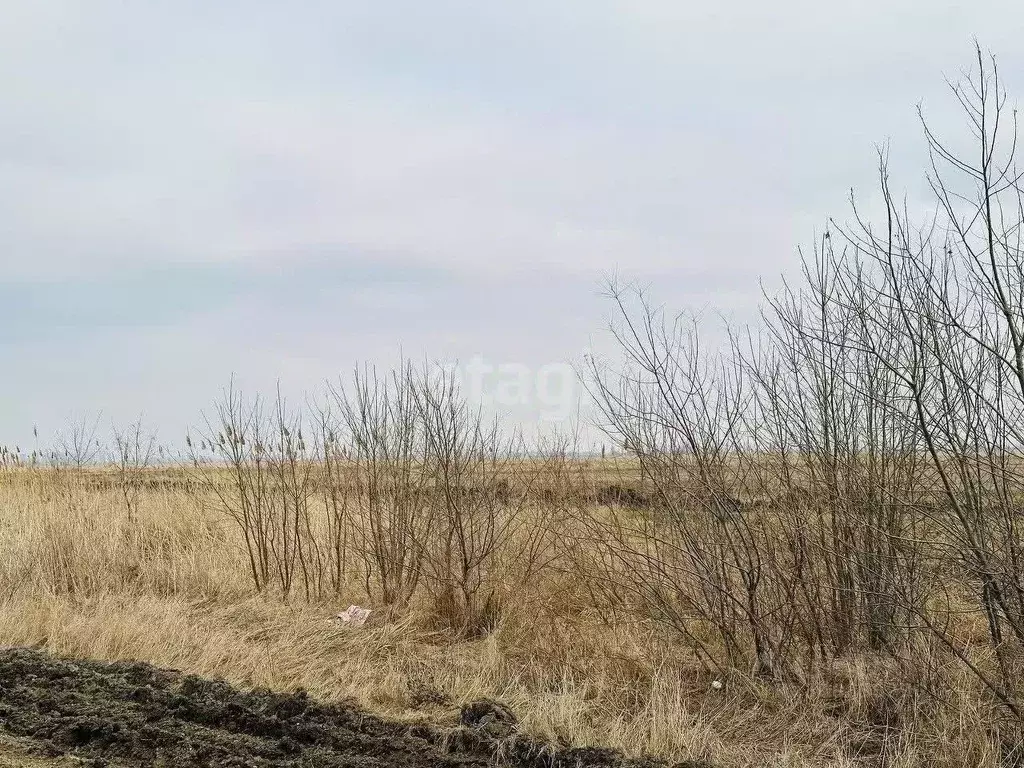 Участок в Адыгея, Тахтамукайский район, Старобжегокай аул  (10.0 сот.) - Фото 1