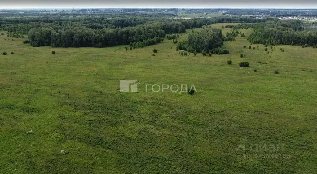 Помещение свободного назначения в Новосибирская область, Мошковский ... - Фото 2
