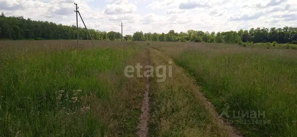 Участок в Тульская область, Киреевский район, Дедиловское ... - Фото 1