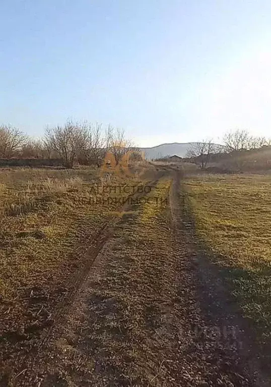 Участок в Крым, Кировский район, с. Абрикосовка ул. Сосновая (18.0 ... - Фото 1