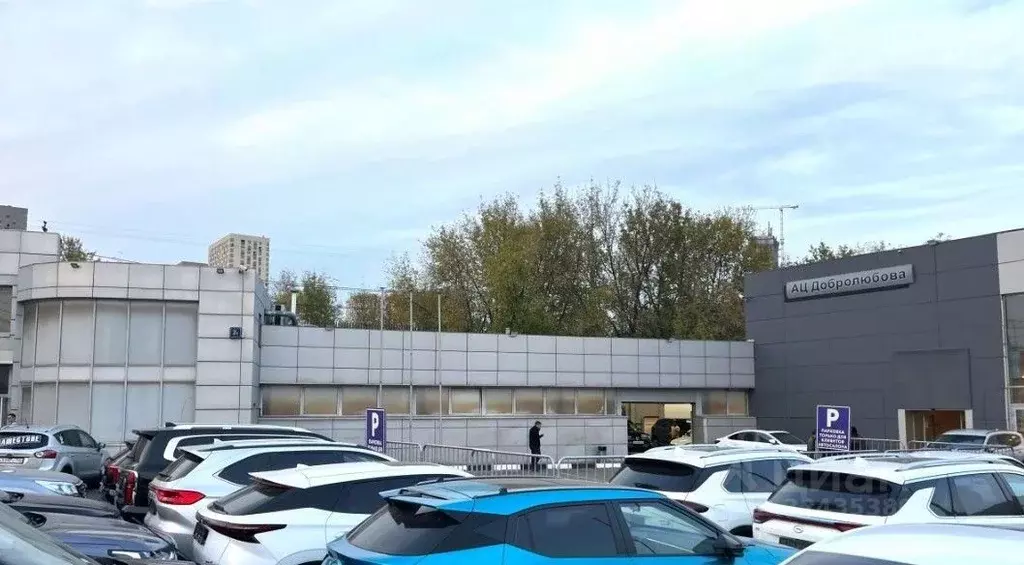 Помещение свободного назначения в Москва ул. Добролюбова, 2БС1 (826 м) - Фото 0