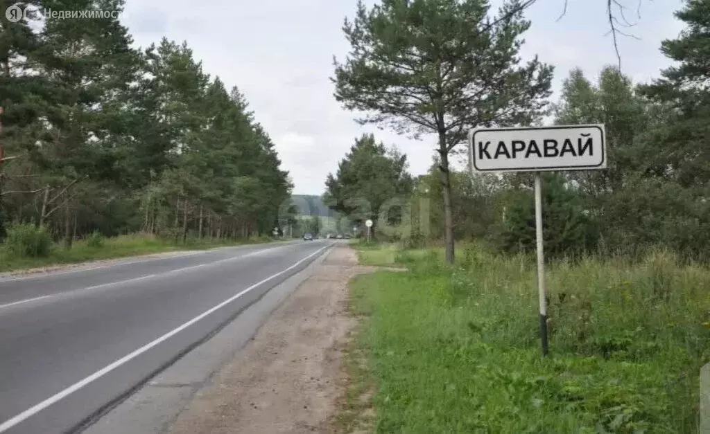 Участок в Калужская область, Дзержинский муниципальный округ, сельское ... - Фото 2