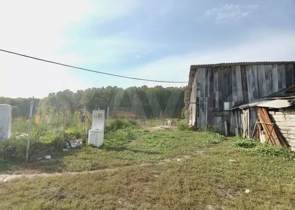 Участок 50 сот. (ИЖС) - Фото 1