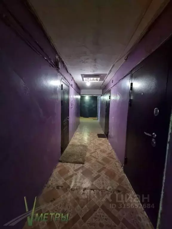 1-к кв. Приморский край, Владивосток Черемуховая ул., 22 (17.0 м) - Фото 2