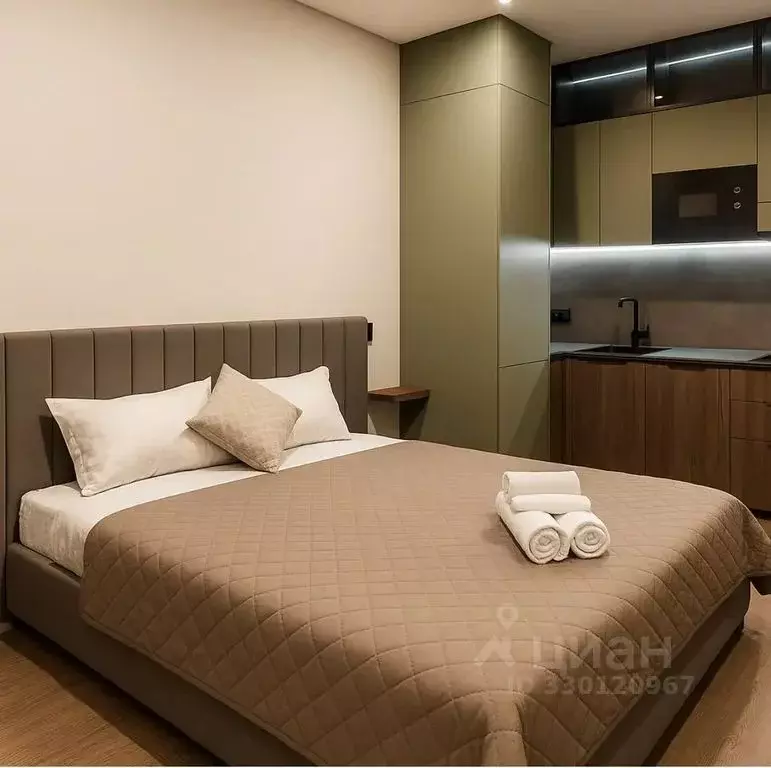 Студия Санкт-Петербург Херсонский проезд, 6 (24.0 м) - Фото 1
