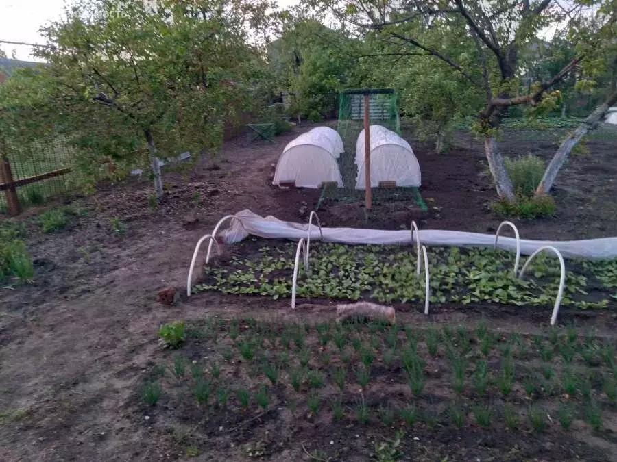 Дом в Россошь, улица Фрунзе, 42А (128.4 м) - Фото 1