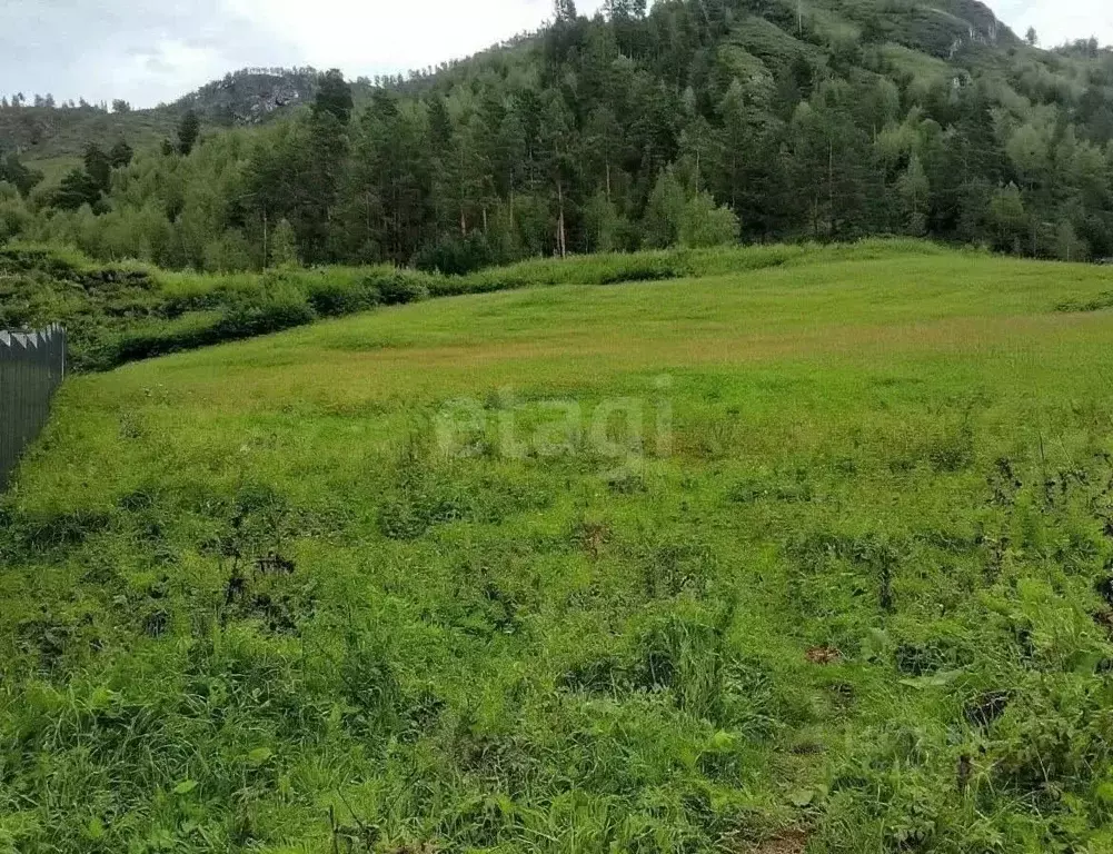 Участок в Алтай, Чемальский район, с. Чемал ул. Земляничная, 5 (9.97 ... - Фото 1