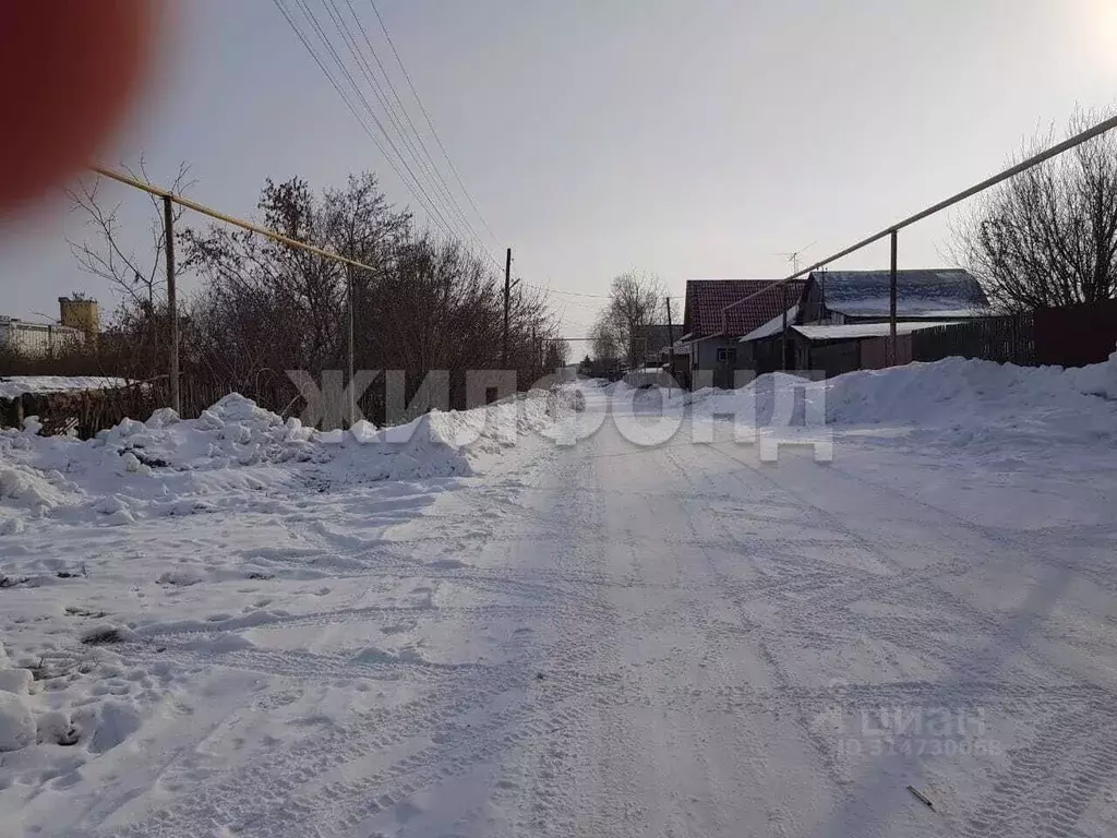 Участок в Новосибирская область, Коченевский район, Чик рп ул. ... - Фото 1