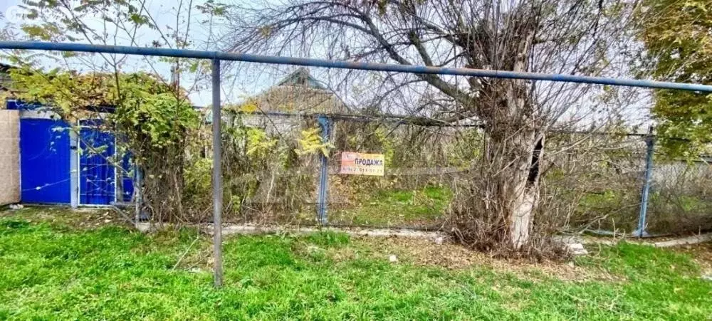 Дом в Советская, улица Фрунзе (53.6 м) - Фото 1