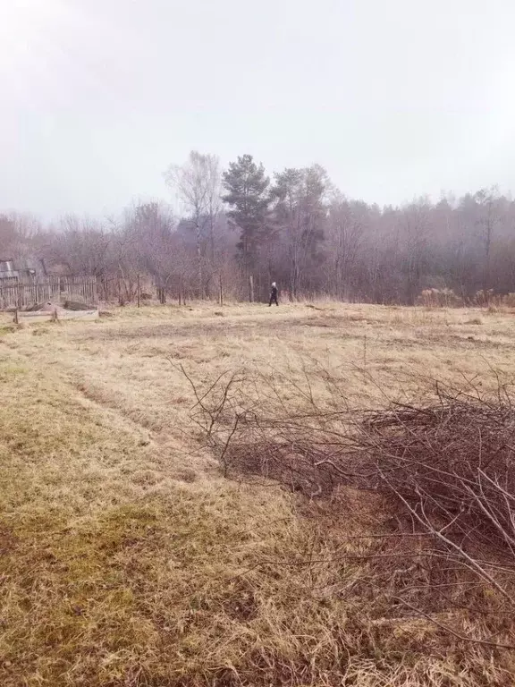 Участок в Ленинградская область, Ломоносовский район, Лебяженское ... - Фото 1