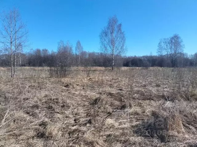 Участок в Владимирская область, Петушинское муниципальное образование, ... - Фото 1