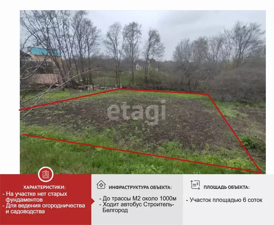 Участок в Белгородская область, Строитель Яковлевский городской округ, ... - Фото 2