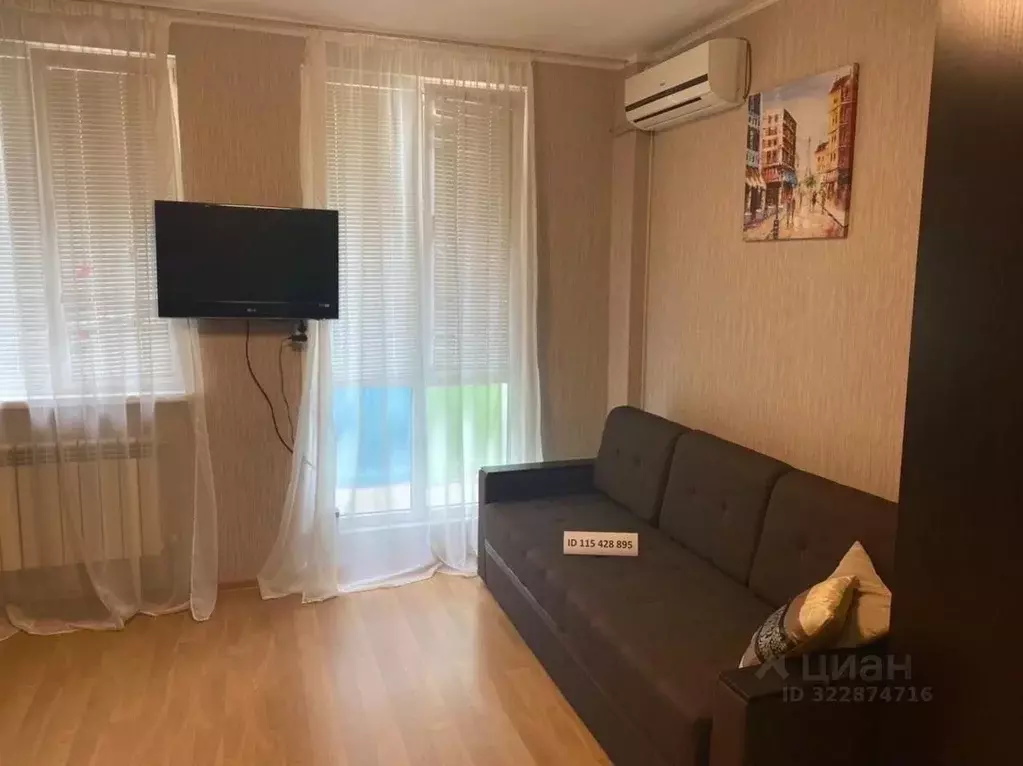 Студия Краснодарский край, Сочи Виноградная ул., 224/8 (29.7 м) - Фото 1