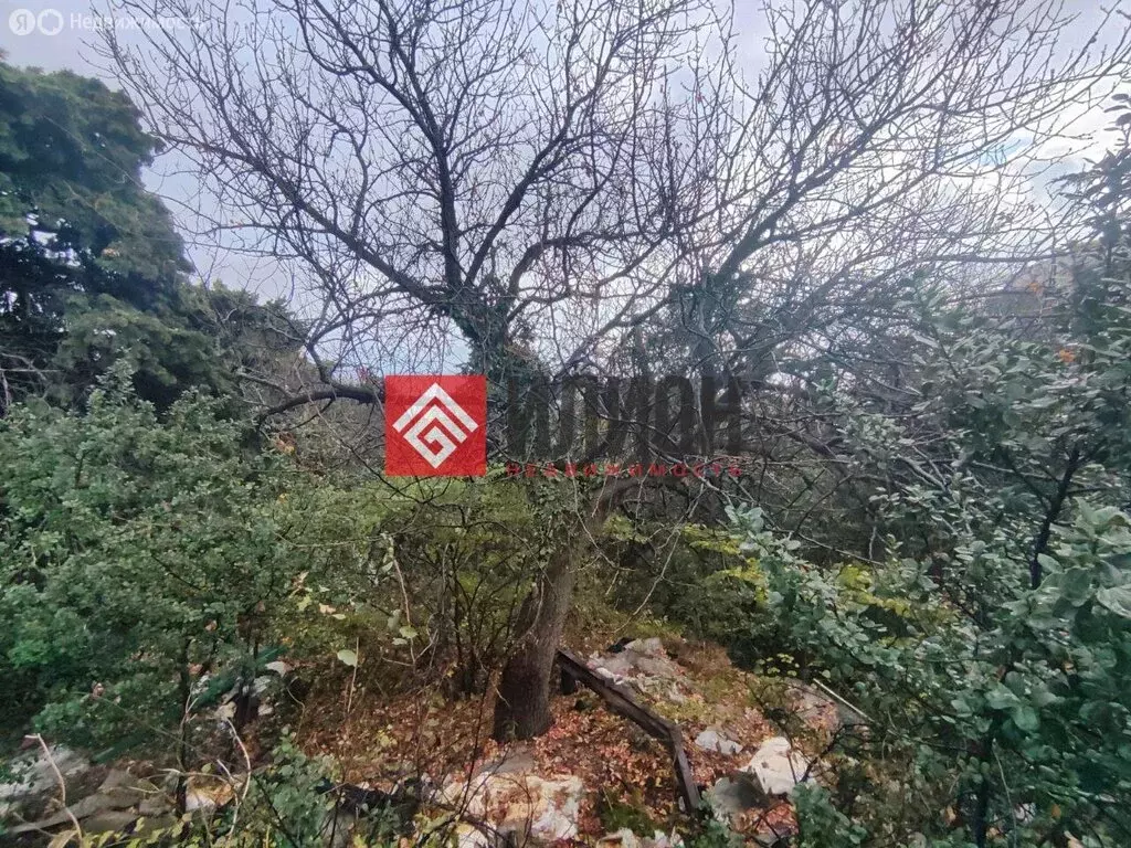 Участок в Кореиз, Алупкинское шоссе, 9А (6 м) - Фото 2