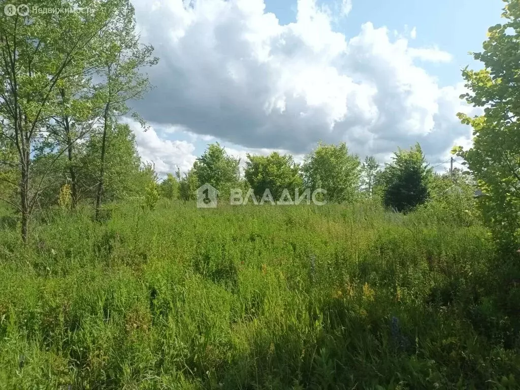 Участок в Бессоновка, Луговая улица, 41В (15 м) - Фото 1