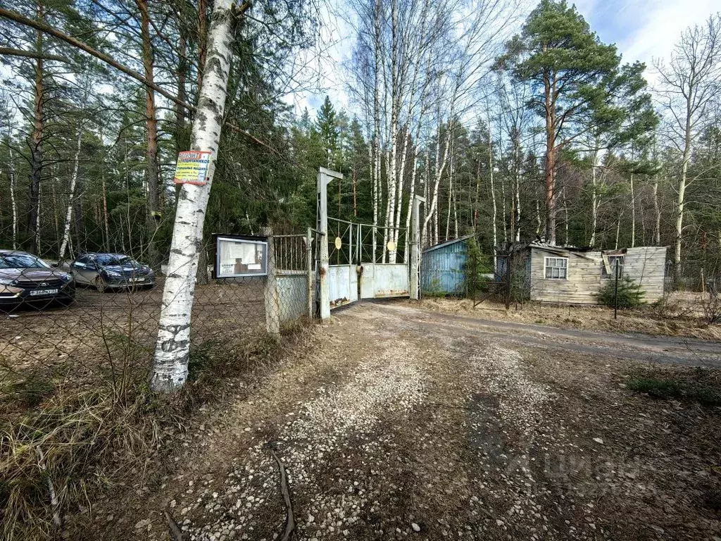 Дом в Владимирская область, Киржач Инструментальщик СНТ,  (80 м) - Фото 1