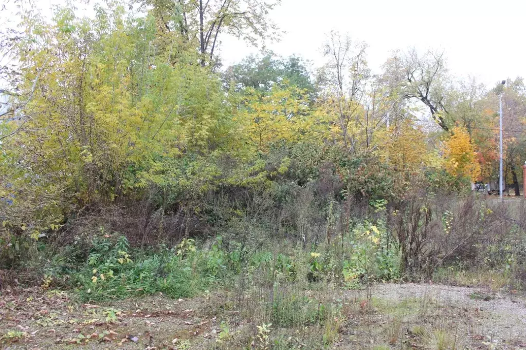 Участок в Москва Златоустовская ул., 2 (5.98 сот.) - Фото 2