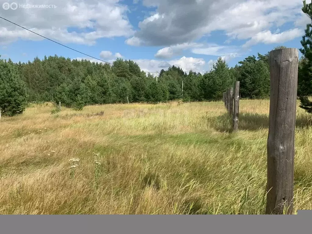 Участок в Курганская область, Кетовский муниципальный округ, деревня ... - Фото 1