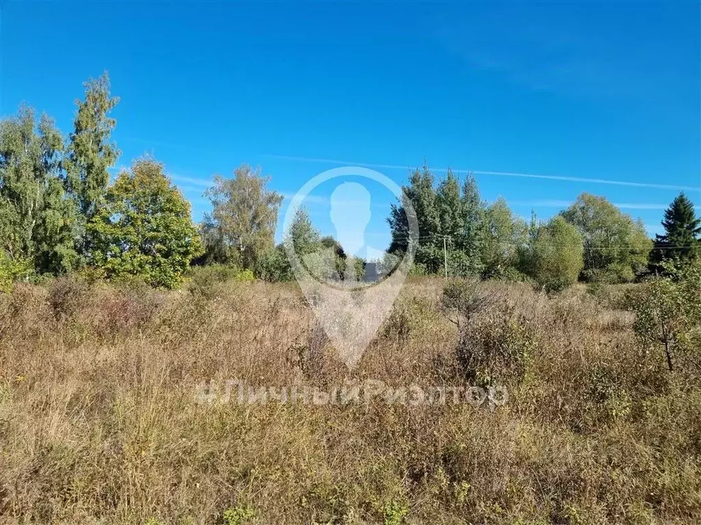 Участок в Рязанская область, Пронский муниципальный округ, Деревня ... - Фото 2