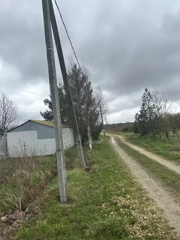 Участок в Ленинградская область, Гатчинский район, пос. Кобралово ул. ... - Фото 0
