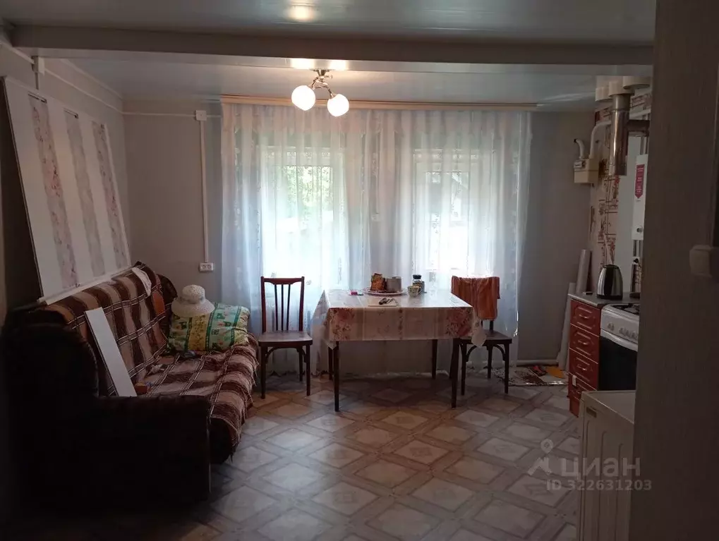 Дом в Нижегородская область, Краснооктябрьский муниципальный округ, с. ... - Фото 2