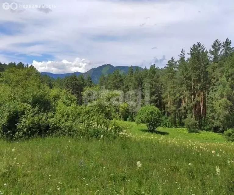 Участок в Чемальский район, Чемальский тракт (4900 м) - Фото 1