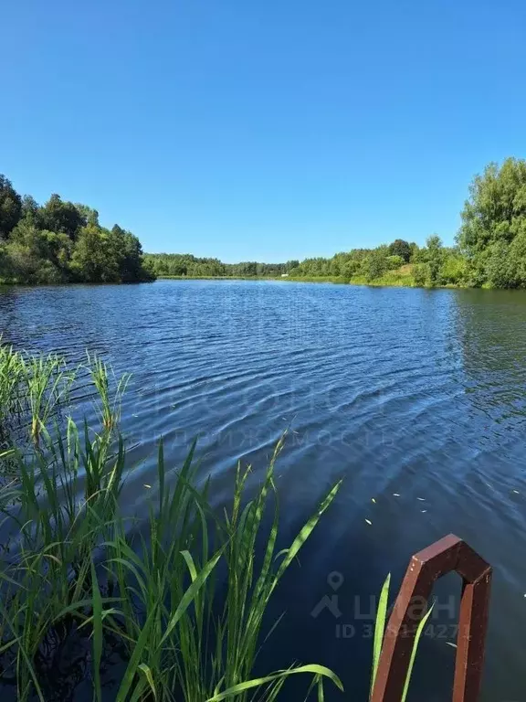 Участок в Московская область, Сергиево-Посадский городской округ, ... - Фото 1