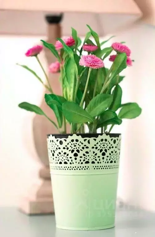 Комната Москва ул. Спиридоновка, 16С1 (8.0 м) - Фото 2