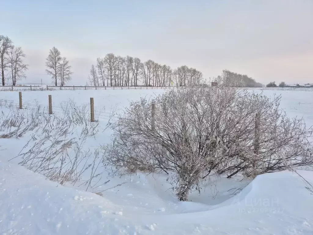 Участок в Амурская область, Благовещенский район, с. Владимировка  ... - Фото 1