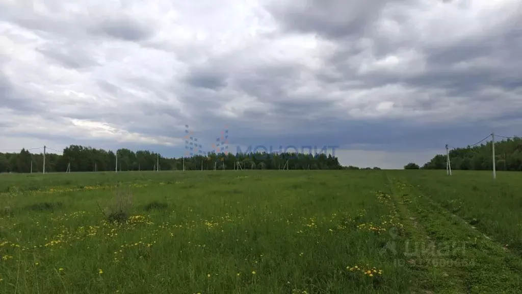 Участок в Нижегородская область, Дальнеконстантиновский муниципальный ... - Фото 1