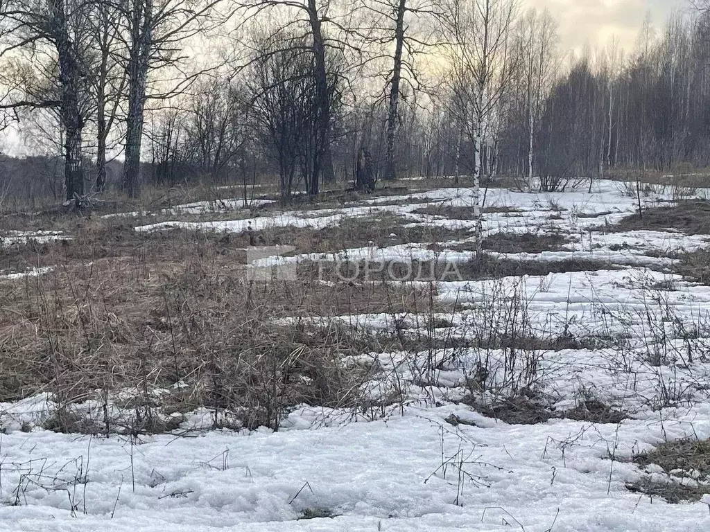Участок в Новосибирская область, Новосибирский район, Барышевский ... - Фото 1