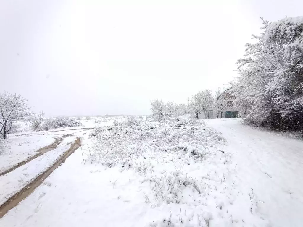 Участок в Крым, Симферопольский район, Добровское с/пос, с. Мраморное, ... - Фото 2
