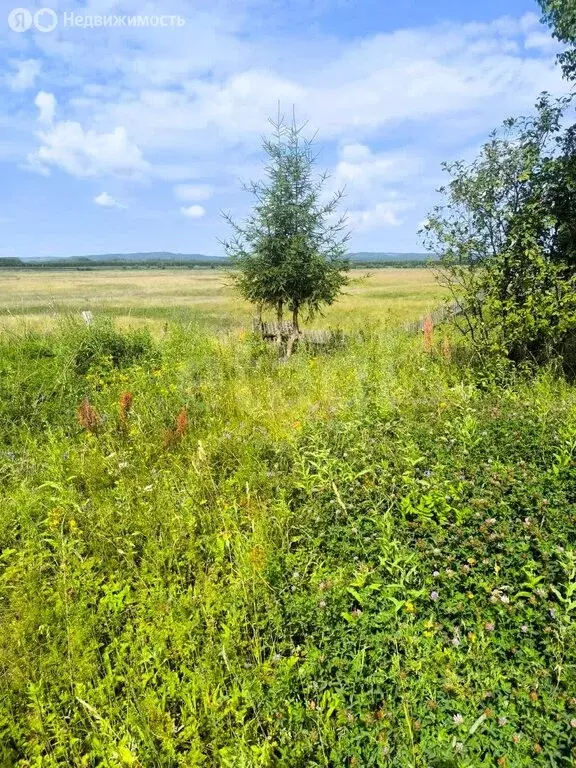 Участок в Нуримановский район, Красногорский сельсовет, село Красная ... - Фото 2