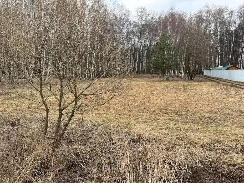 Участок в Московская область, Богородский городской округ, д. ... - Фото 0