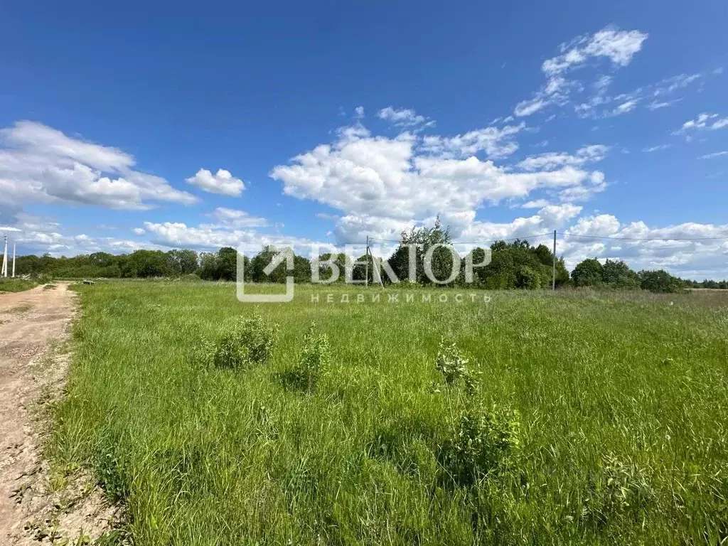 Участок в Костромская область, Кострома ул. Родная (10.0 сот.) - Фото 1