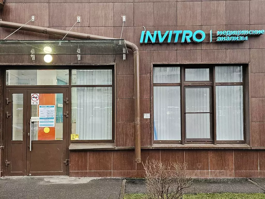 Помещение свободного назначения в Ленинградская область, Ломоносовский ... - Фото 1