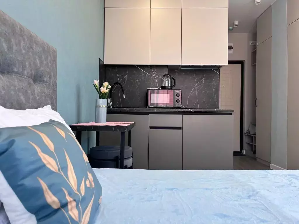 Студия Краснодарский край, Сочи Адлер жилрайон, ул. Взлетная, 23 (18.0 ... - Фото 1