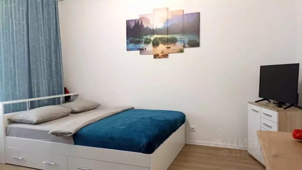 1-к кв. Калужская область, Обнинск ул. Курчатова, 25/4 (24.0 м) - Фото 1