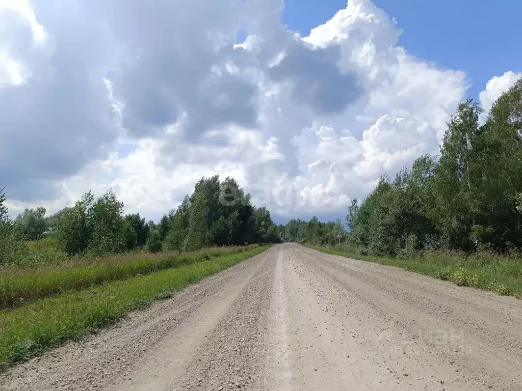 Участок в Новосибирская область, Колыванский район, с. Скала  (3745.2 ... - Фото 1