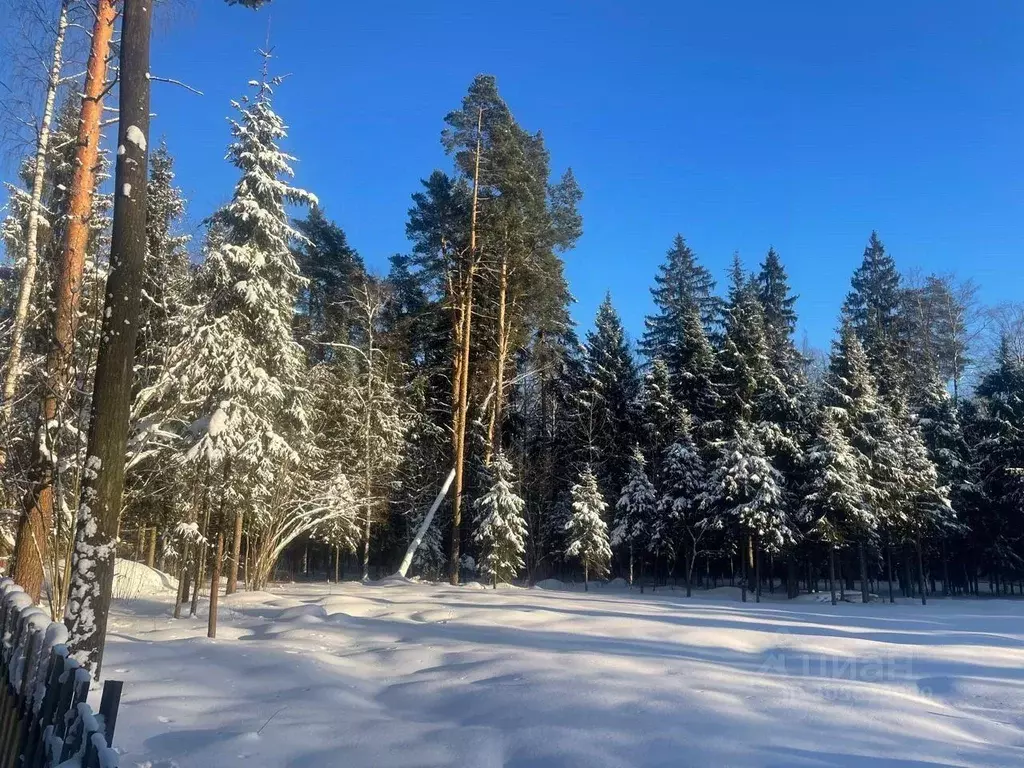 Участок, 150 сот., поселения (ижс) - Фото 1