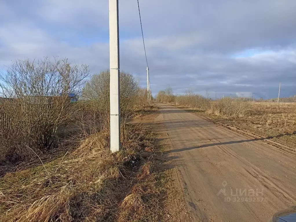 Участок в Новгородская область, Новгородский муниципальный район, ... - Фото 2