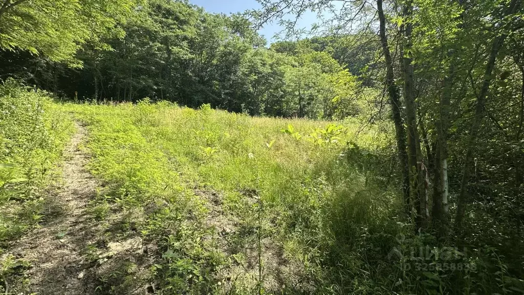 Участок в Краснодарский край, Сочи пос. Вардане,  (6.0 сот.) - Фото 2