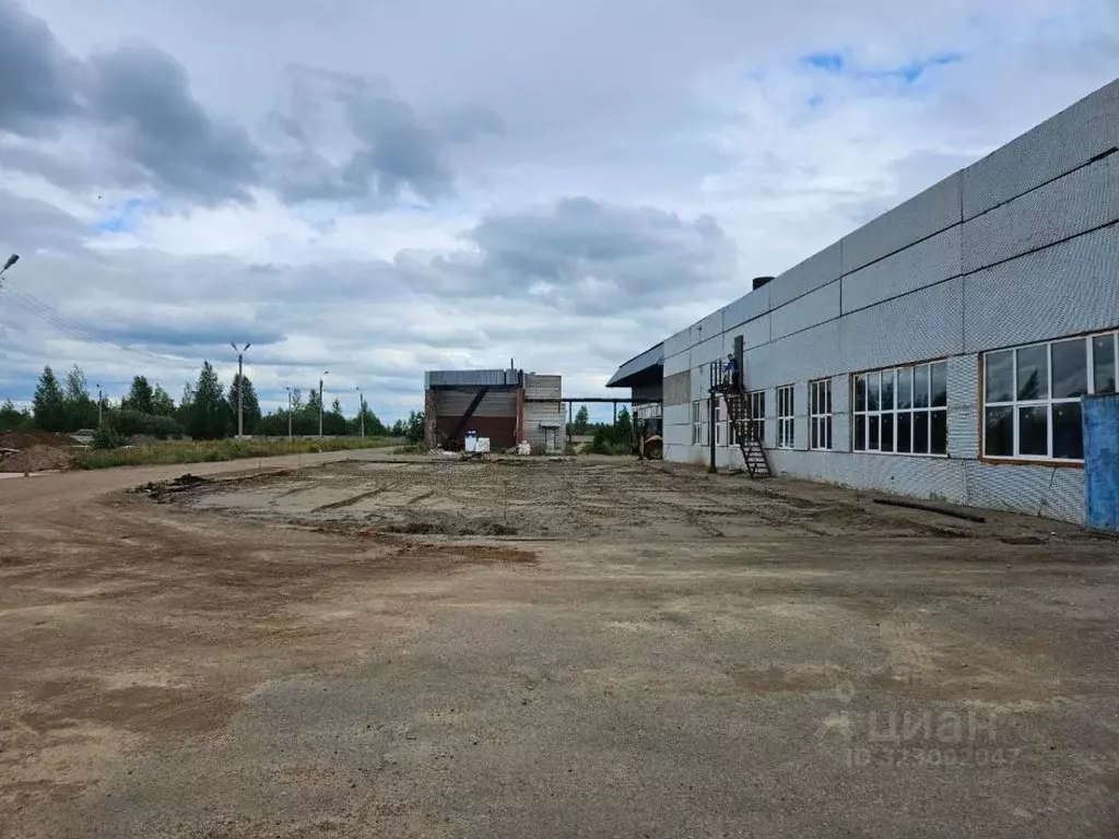 Производственное помещение в Татарстан, Елабуга муниципальное ... - Фото 2